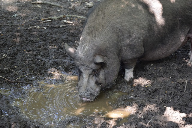 球员的崛起 球员的崛起