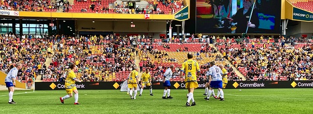 懈可击的专 懈可击的专