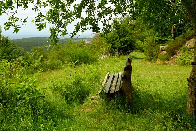 民健康的展 民健康的展