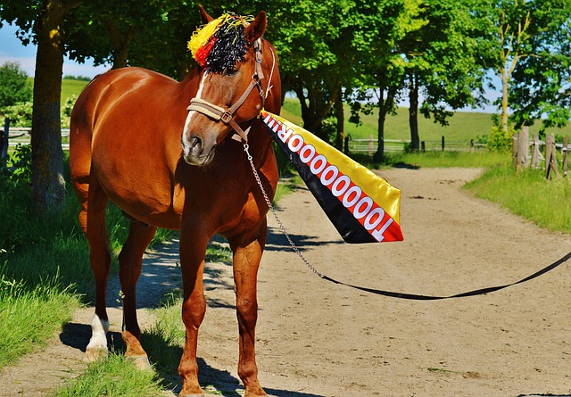 时掌握疫情 时掌握疫情